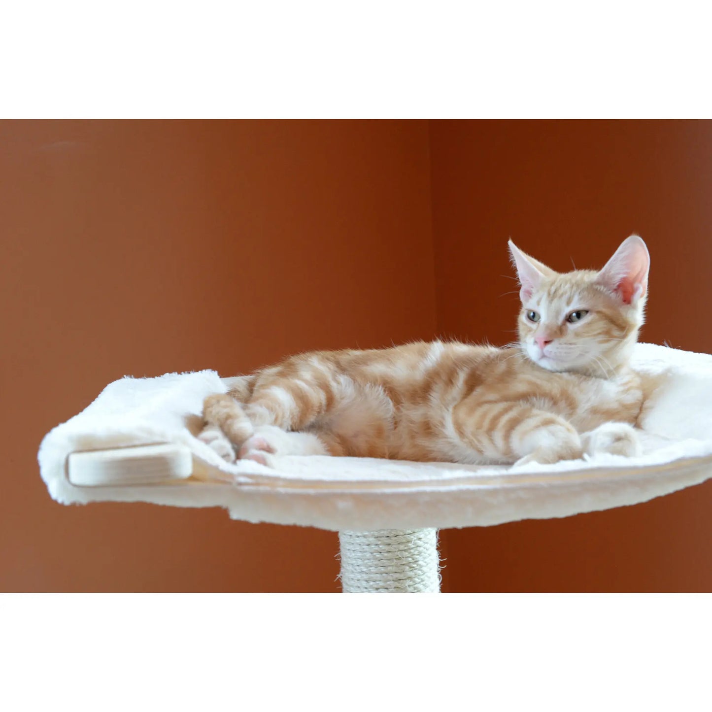 Armarkat Real Wood Premium Scots Pine 54-Inch Cat Tree with Three Levels, Perch, and Condo
