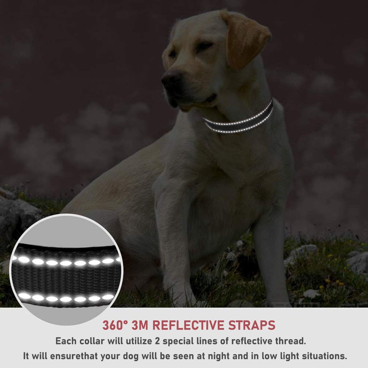 Reflective Dog Collar with Buckle Adjustable Safety Nylon Collars for Small Medium Large Dogs, Black M | Breathable, No Chafing on Walks and Outdoor Hikes, Metal D-Ring, Night Safety