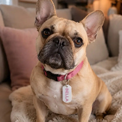 Custom Emergency Pet Tag