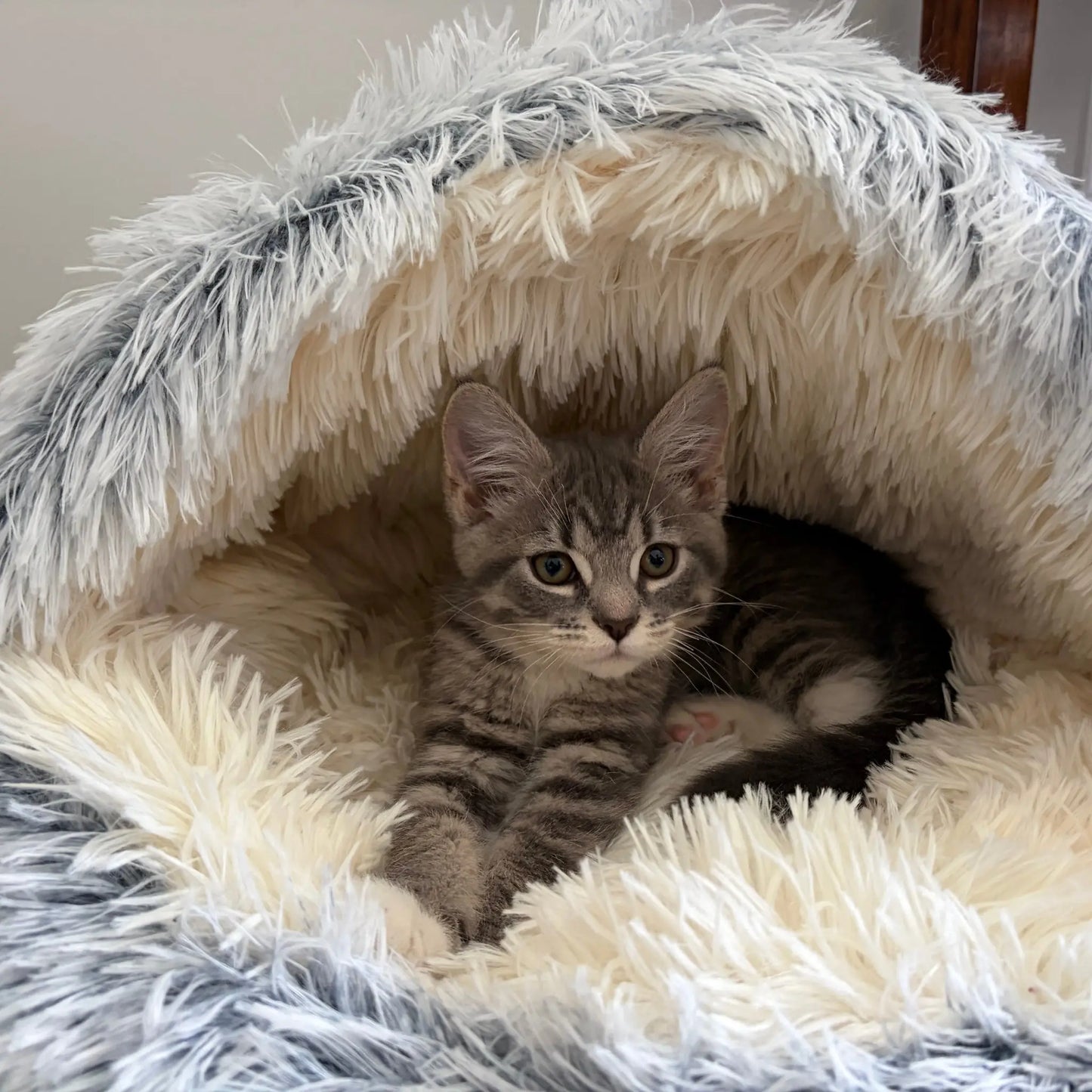 Turnspin Burrow Bed – Covered Plush Bed for Cats & Small Dogs