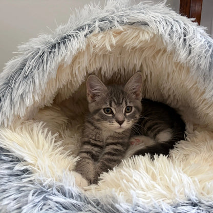 Turnspin Burrow Bed – Covered Plush Bed for Cats & Small Dogs