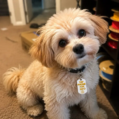 Custom Emergency Pet Tag