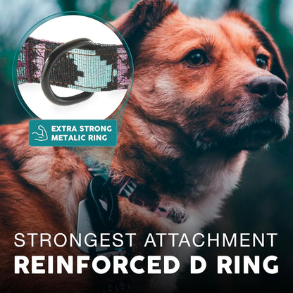 Embark Dog Collar - Adjustable Heavy Duty Outdoor Pet Training Collar | Built with Durable Waterproof Nylon, a Heavy Duty D-Shape Leash Attachment Hook, and an Adjustable Strap - BOHO