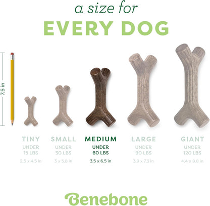 Maplestick Real Wood Durable Dog Chew Toy, Made in USA, Medium | Durable, Made in USA, Dog Bones, Long-Lasting, a Size for Every Dog, Keeps Them Busy