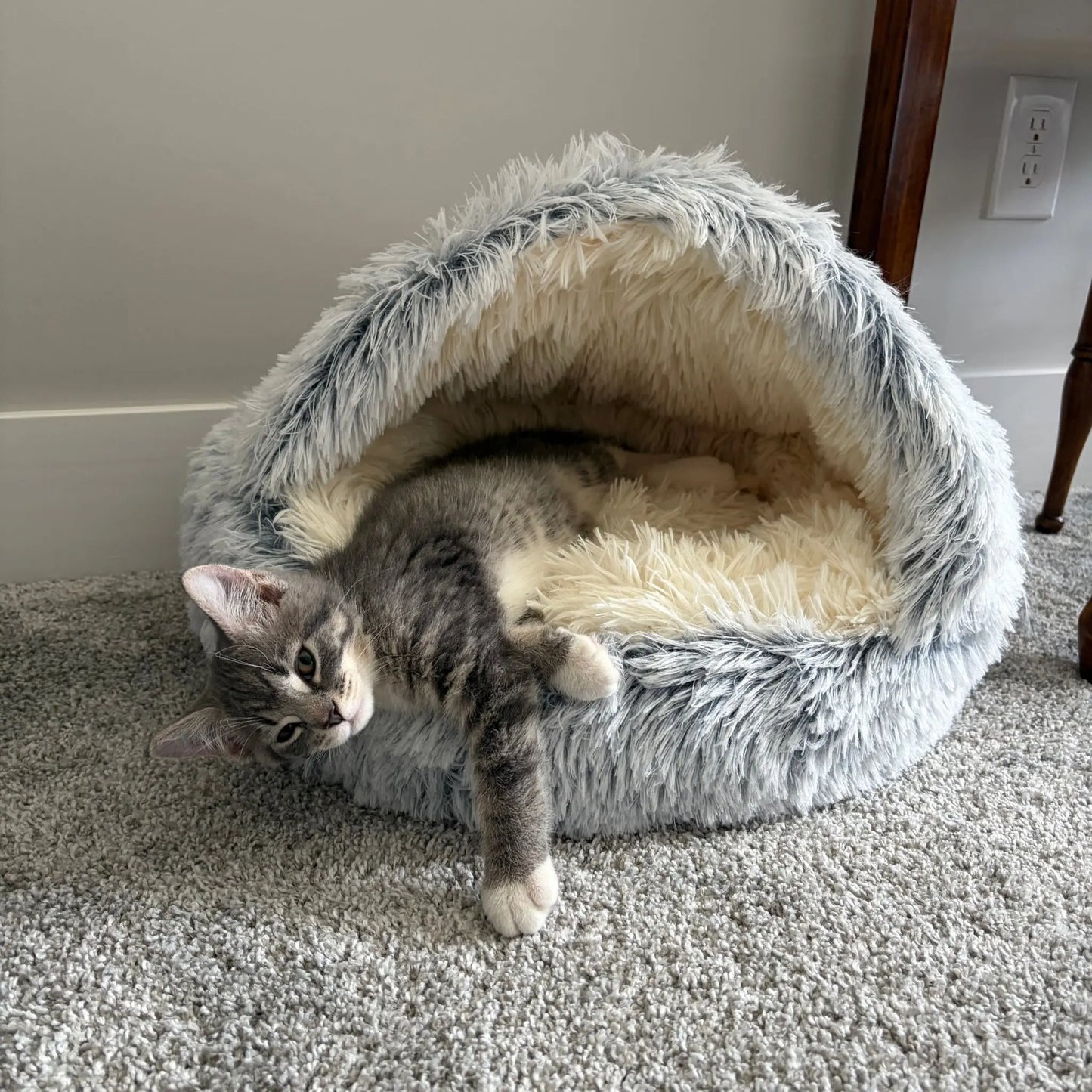 Turnspin Burrow Bed – Covered Plush Bed for Cats & Small Dogs