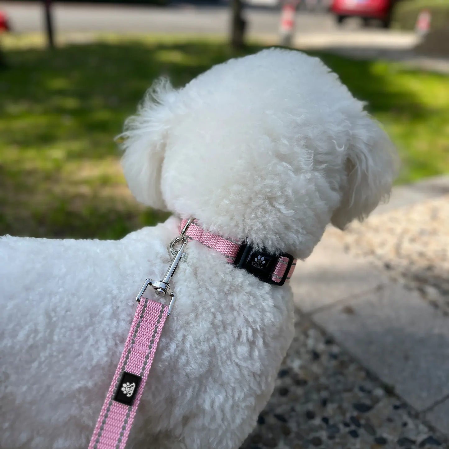 Reflective Dog Collar and Leash Set,Soft Neoprene Pet Collar with Quick Release Buckle,Adjustable Nylon Dog Collars for Small Medium Large Dogs