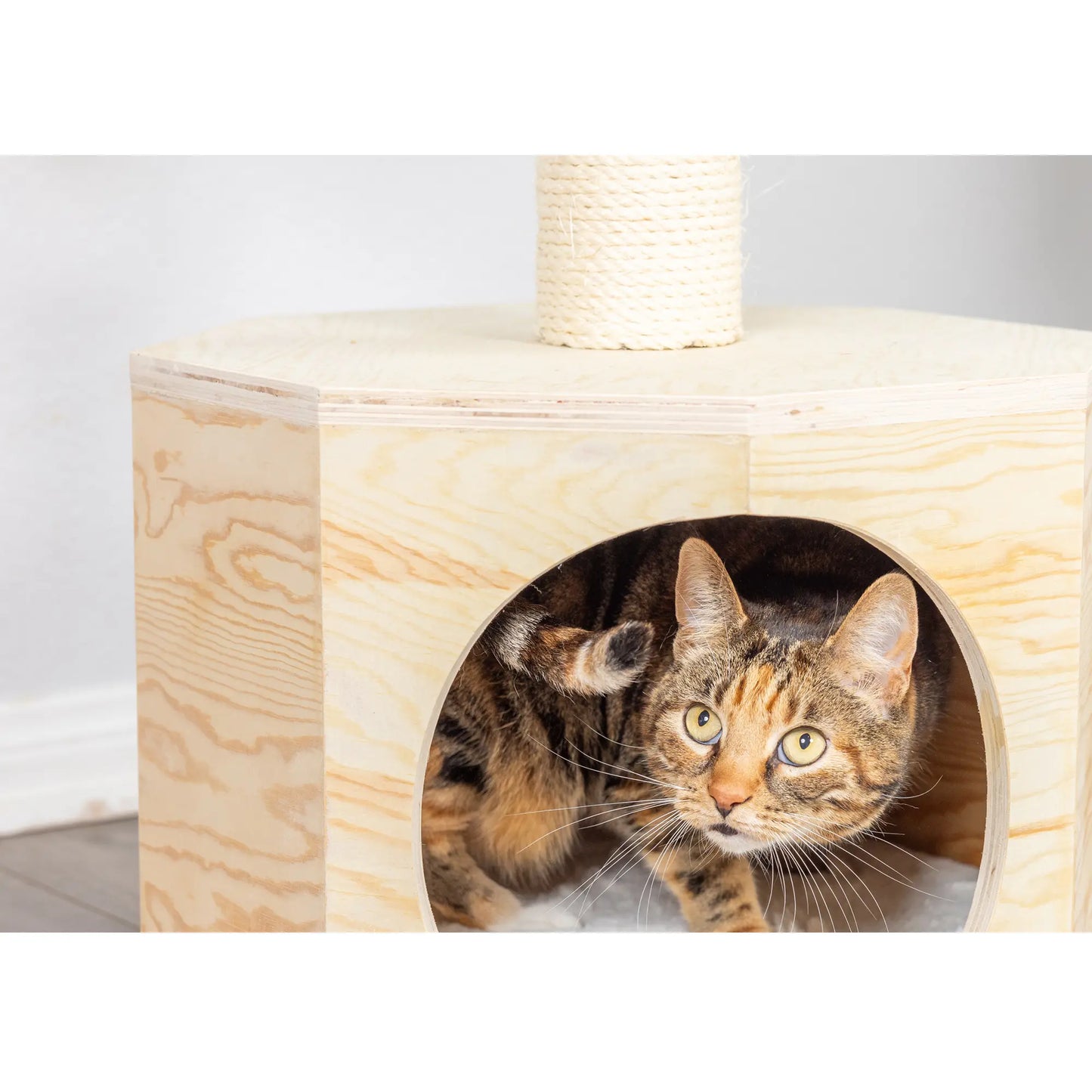 Armarkat Real Wood Premium Scots Pine 54-Inch Cat Tree with Three Levels, Perch, and Condo